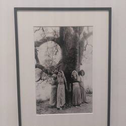 Irish Museum of Modern Art, die Frauen haben im Himalaya für den Erhalt der Bäume gekämpft