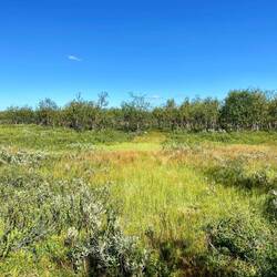 Solche sumpfigen Abschnitte sind immer ein kleines Überraschungspaket.