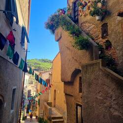 Ruelles du Castello Giglio