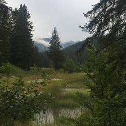 Near The Black Lake, Durmitor.