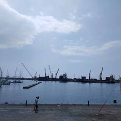 Ponta Delgada Hafen (whale watching möglich)