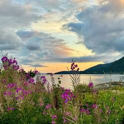 Aussicht vom Vegset Camping auf den See Snåsavatnet