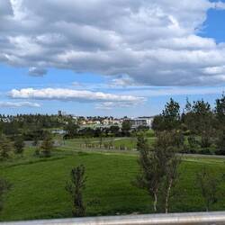 Our view toward the Tjornin and City Hall.