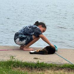 Always the hit on a dock