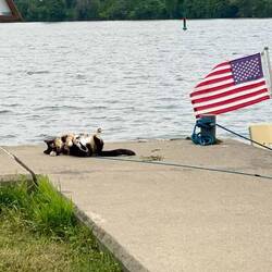 Luna doing Luna stuff