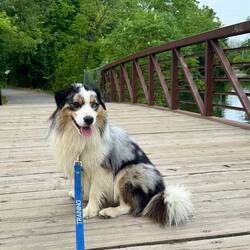Walking the Trans Canada trail