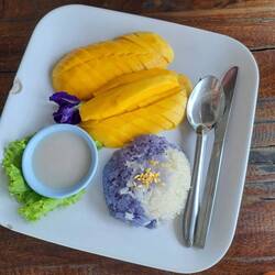 Mango Sticky Rice getestet - für gut befunden