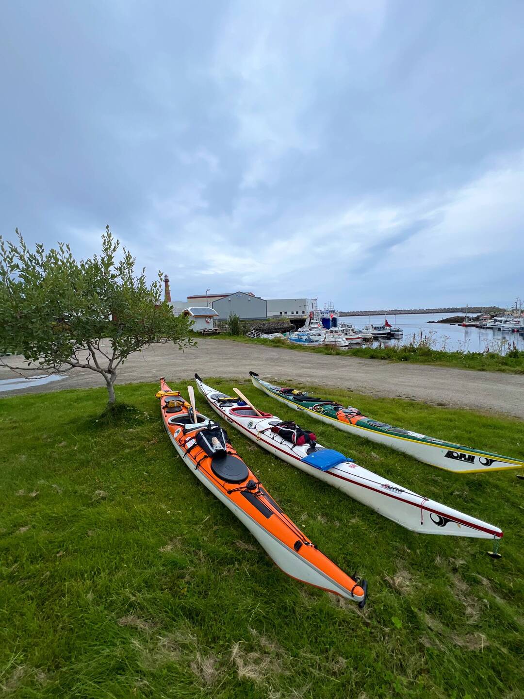 Kayaks were high and dry