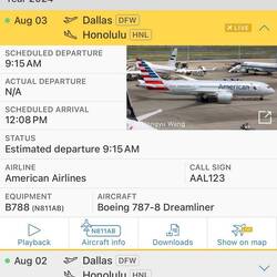 Flight info on AA123 as captured by FlightRadar24.