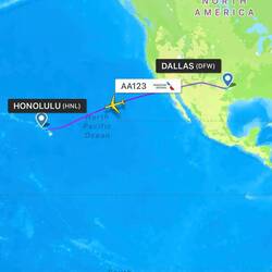 Flightpath of AA123 as captured by FlightRadar24.