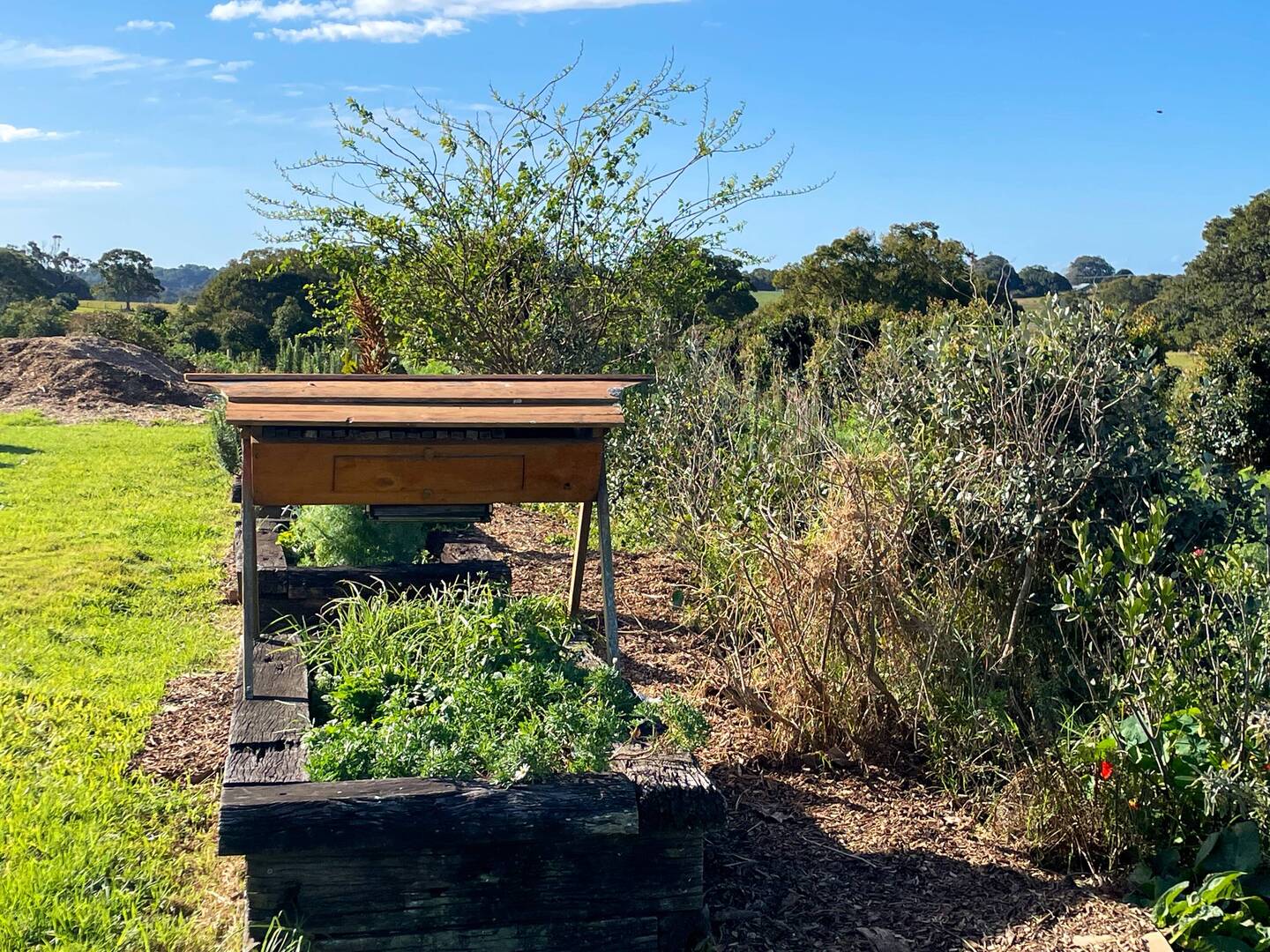 Beehive at The Farm