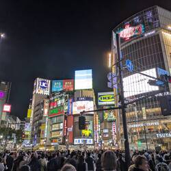 Shibuya Crossing