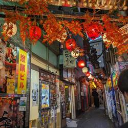 Omoide Yokocho
