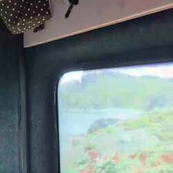 Da schaukeln die Bananen im Wind