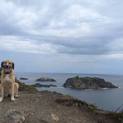 Bella ist auch ein Fan