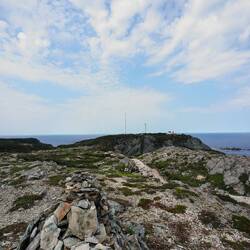 Und hier noch etwas kleiner