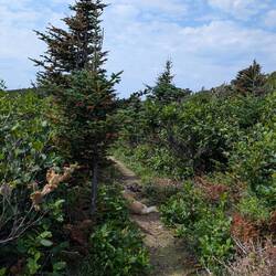 Bella ist oft vor gelaufen und hat beim nächsten Schattenplätzchen auf uns gewartet