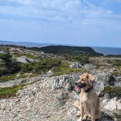 Aussichten genießen