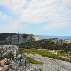 Da sieht der Leuchtturm schon was kleiner aus