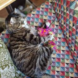 Funcle Ali brought out Abby's playful side