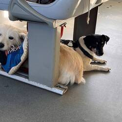 Auf dem Rückweg war Flut und wir konnten direkt am Ort einsteigen