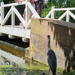 Im Schlosspark von Schwetzingen