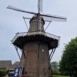 Dokkum