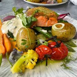 Lachsforelle für Janine