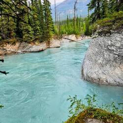 Verdant Creek (great name, right?)