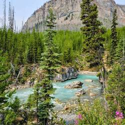Vermilion River with fireweed