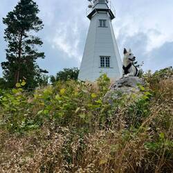 Das Ziel unseres Laufs ist der Leuchtturm von Hjortens Udde, von wo es wieder retour geht..