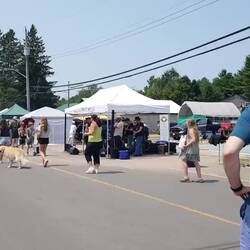 Der Handwerkermarkt in Baysville - natürlich mit Countryband!