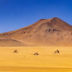 Salvador Dali Desert