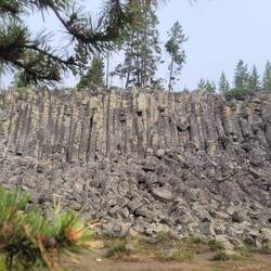 Sheepeater Cliff, basalt lava that formed columnar joints 500'000yrs ago, Yellowstone NP