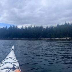 Miles and miles of this