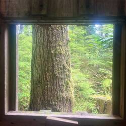 View from the composting toilet