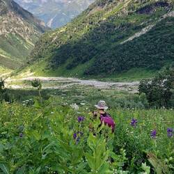 Wir sollten mit Machete wandern😅