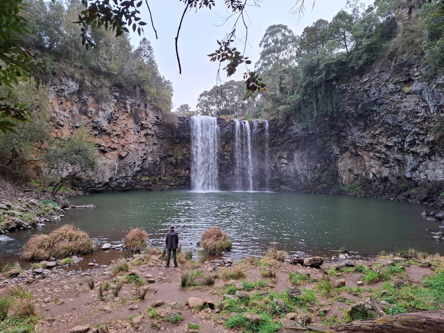Dangar Falls, Dorrigo