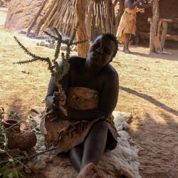 In der Klicksprache werden uns die traditionellen Heilmittel vorgestellt