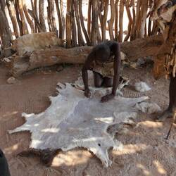 Die Haare werden von einem Tierfell geschabt...