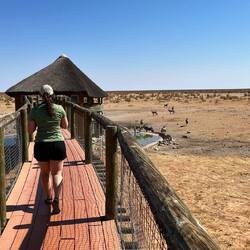 Auf zum Aussichtsturm des Olifantsrus-Camps!