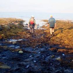 The cleared beach in front of the boat house