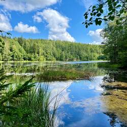 Und das nicht nur in unmittelbarer Seenähe, sondern..