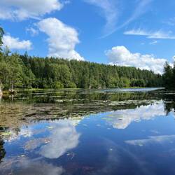 ..vor allem in absoluter Alleinlage.