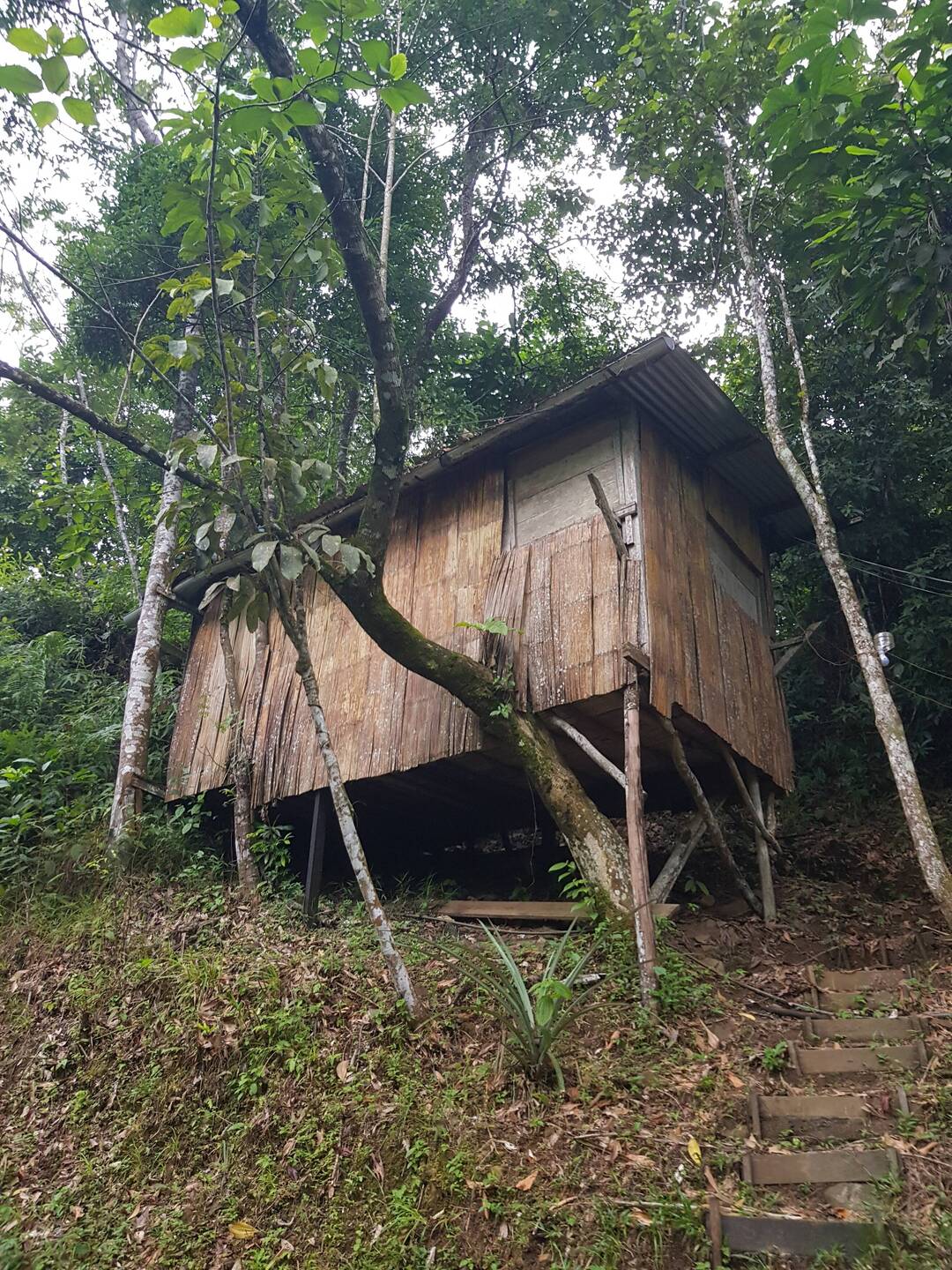 Unser kleines neues Zuhause