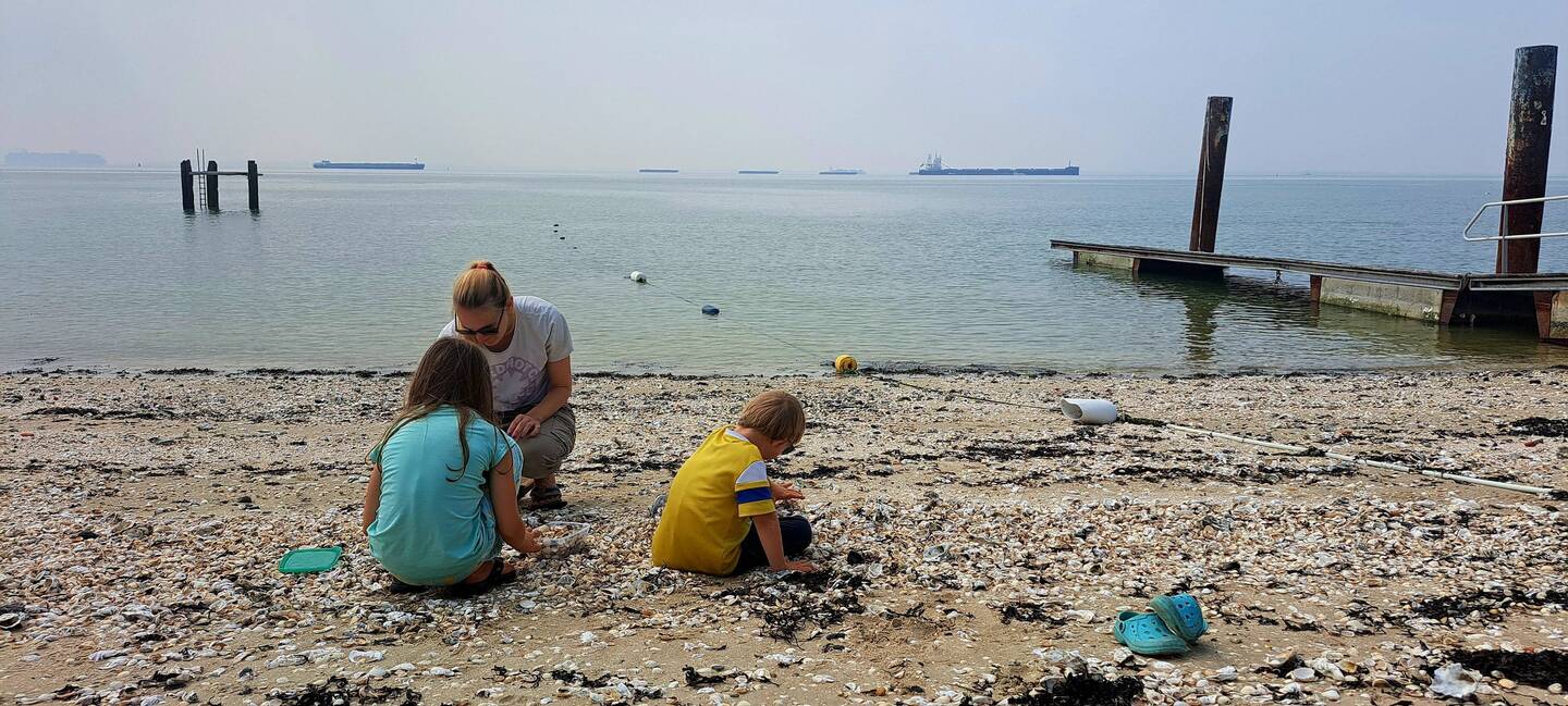 Ein letztes Mal Muscheln sammeln... das Meer werden wir diese Ferien nicht mehr sehen...