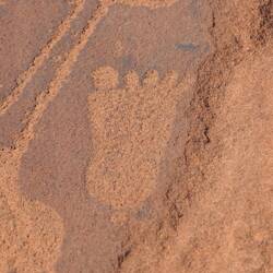 Interessante Unterschrift: 5 Fußzehen + 1 zusätzliche an der Ferse