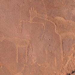 Mama-Giraffe mit Baby-Giraffe