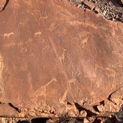 Je heller das Bild im Vergleich zum Hintergrund, desto jünger ist das Bild