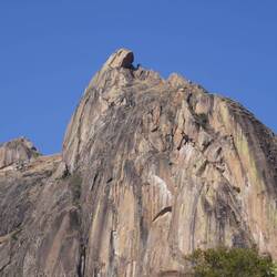 Da kann man schon den Kopf erkennen.